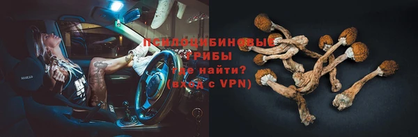 трава Армянск