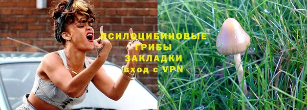 PSILOCYBIN Арсеньев