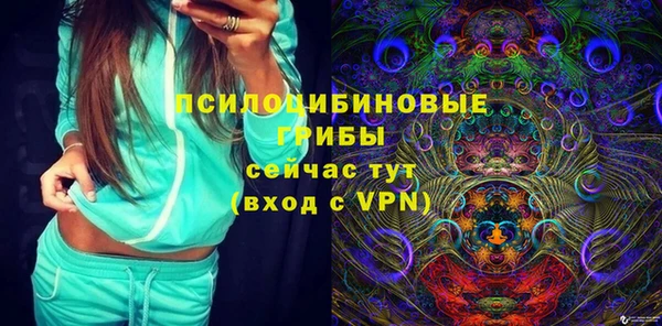 трава Армянск