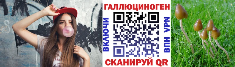 mega как зайти  Иннополис  Галлюциногенные грибы прущие грибы 